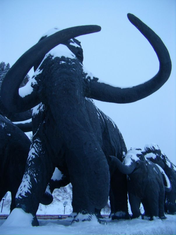 Антон Панов фотография #44