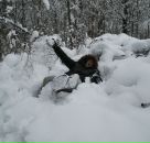 Фотография Шмелёва Алексея