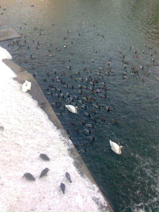 Дима Матвеев фотография #37