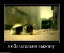 Фотография Рагозина Валерия