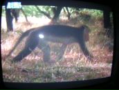 Фотография Пупкова Дениса