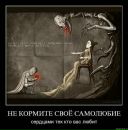 Фотография Устиновой Черники