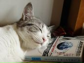 Фотография Грачева Стаса