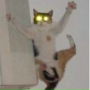 Фотография Беляева Вовчика