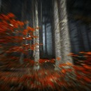 Фотография Севостьянова Евгения