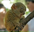 Фотография Шахина Юрия