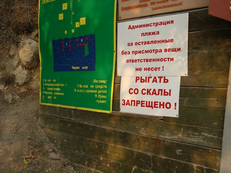 Дмитрий Шейнов фото №19