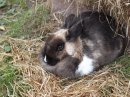 Тіна Тен фотография #6 (источник - https://vk.com/id50531224)