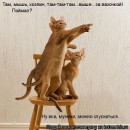 Иришка Венцова фотография #33 (источник - https://vk.com/id4664078)