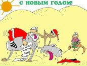 Фотография Куртова Михаила