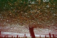 Катя Ев фотография #17 (источник - https://vk.com/id20701361)