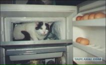 Толя Даниленко фотография #31 (источник - https://vk.com/id2023558)