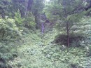 Аня Гринів фотография #41 (источник - https://vk.com/id66647090)