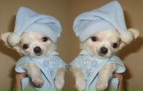 Фотография Иванченковой Анастасии