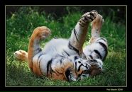 Фотография Шарафутдинова Рината