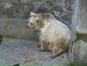 Фотография Шустова Андрея