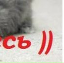 Емілія Мовчан фотография #21 (источник - https://vk.com/id89589512)