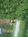Оля Шірінова фотография #8 (источник - https://vk.com/id131802186)