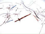 Виктор Назарет фотография #34 (источник - https://vk.com/id53760)