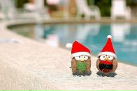 Фотография Михайловой Светланы