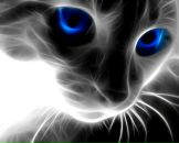 Viktor Kapustinskiy фотография #16 (источник - https://vk.com/id477983)