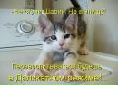 Сергій Богусевич фотография #38 (источник - https://vk.com/id63311509)