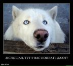 Фотография Федяева Алина