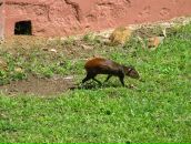 Александр Игнатенко фотография #13 (источник - https://vk.com/id24388063)