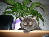 Фотография Королевой Ольги