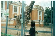 Фотография Свидерской Марии