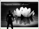 Фотография Бородько Вики