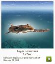 Андрій Орищак фотография #40 (источник - https://vk.com/id43615340)