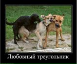 Junni :) фотография #24 (источник - https://vk.com/id141296253)