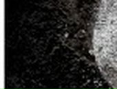 Den D фотография #18 (источник - https://vk.com/id9200327)