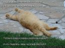 Ірина Демешкіна фотография #15 (источник - https://vk.com/id60720086)