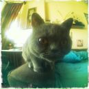 Боря Галас фотография #24 (источник - https://vk.com/id2386473)