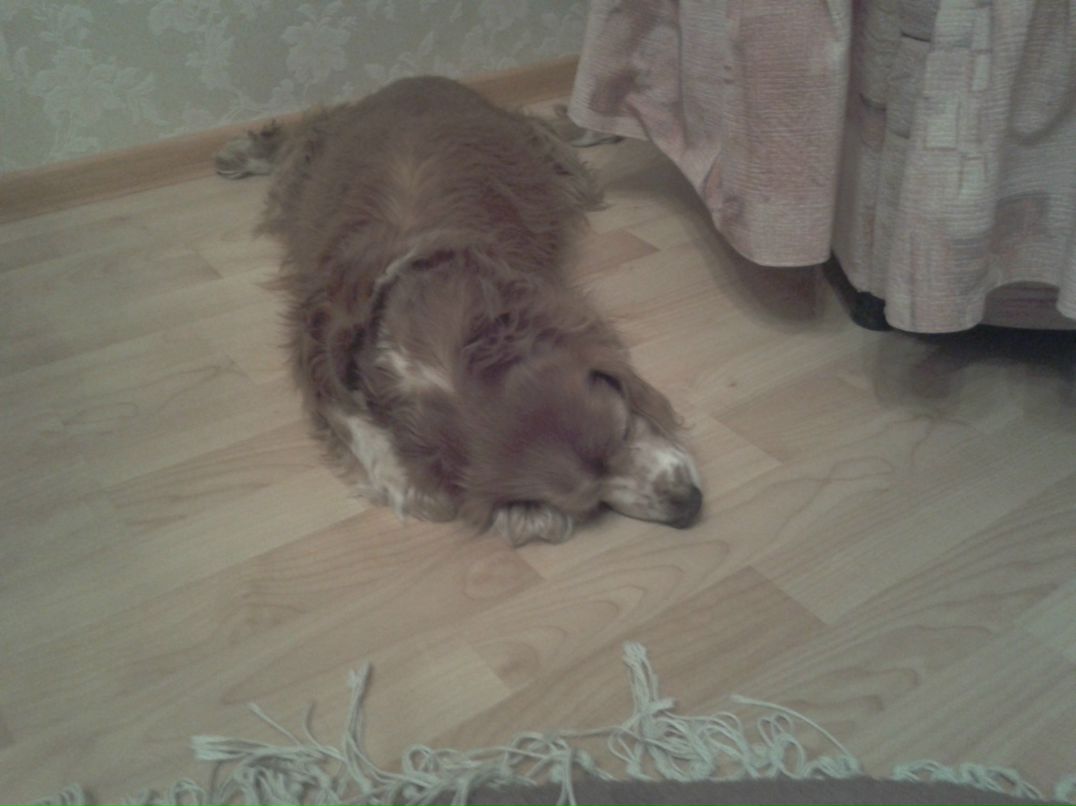 Анна Лобанова фотография #36