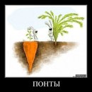 Єва Дорн фотография #42 (источник - https://vk.com/id142238391)
