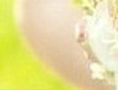 Валерия :) фотография #41 (источник - https://vk.com/id118985115)