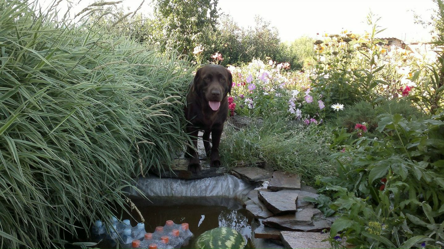 Денис Косицын фотография #24