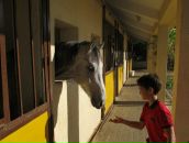 Дмитрий Бобырев фотография #37 (источник - https://vk.com/id4094802)