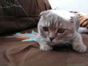 Фотография Дерюгин Дмитрий