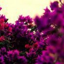 Κристина Μиронова фотография #40 (источник - https://vk.com/id154017682)