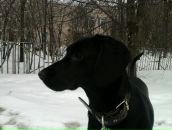 Фотография Брезгиной Марии