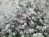 Анна Пономаренко фотография #48 (источник - https://vk.com/id3476248)