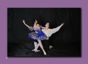 Фотография Medvetskaya Marina