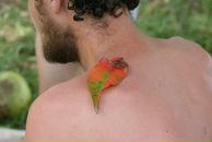 Сергей Кушнир фотография #43 (источник - https://vk.com/id1601429)