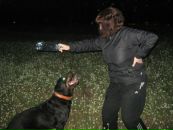 Фотография Вольных Елены