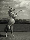 Οлеся Κудрявцева фотография #15 (источник - https://vk.com/id169427654)