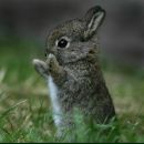 Фотография Осипова Станислава